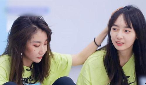 刘恋最新爆料,娱乐圈背后的真实故事